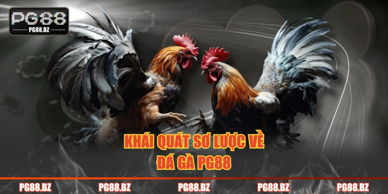 Khái quát sơ lược về đá gà PG88